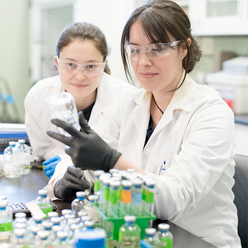 Two female lab students work in lab