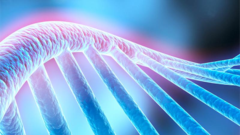 Digital image of helix